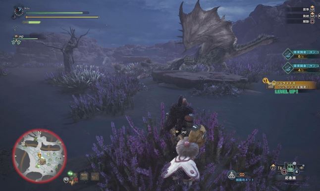 MHW リオレイア